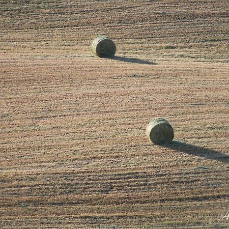 Soleluna San Quirico dʼOrcia Dış mekan fotoğraf