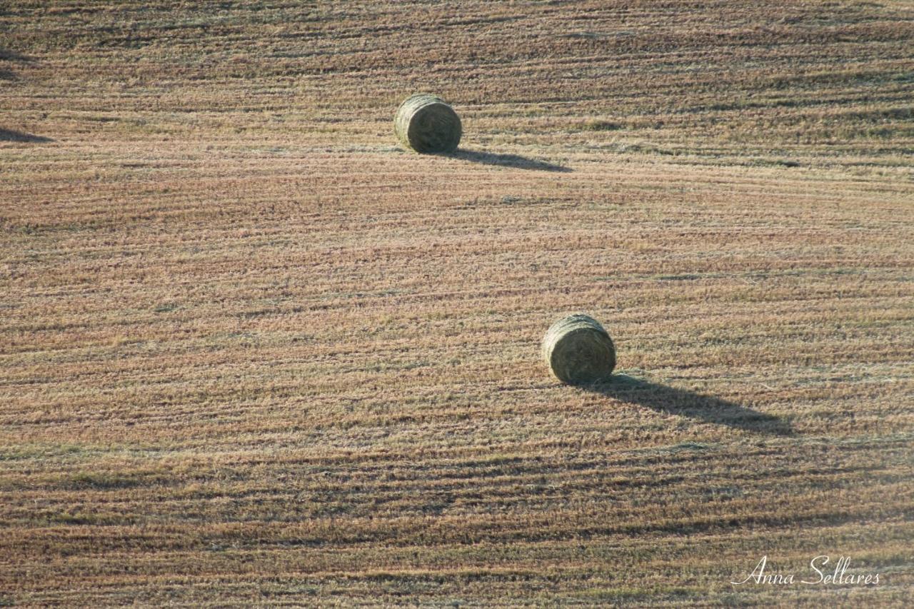 Soleluna San Quirico dʼOrcia Dış mekan fotoğraf