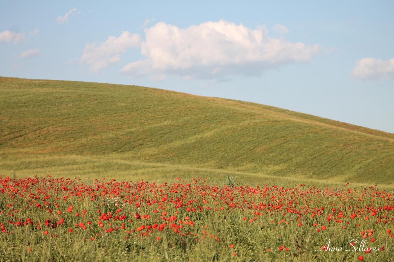 Soleluna Daire San Quirico dʼOrcia Dış mekan fotoğraf