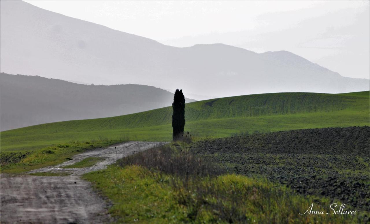 Soleluna San Quirico dʼOrcia Dış mekan fotoğraf